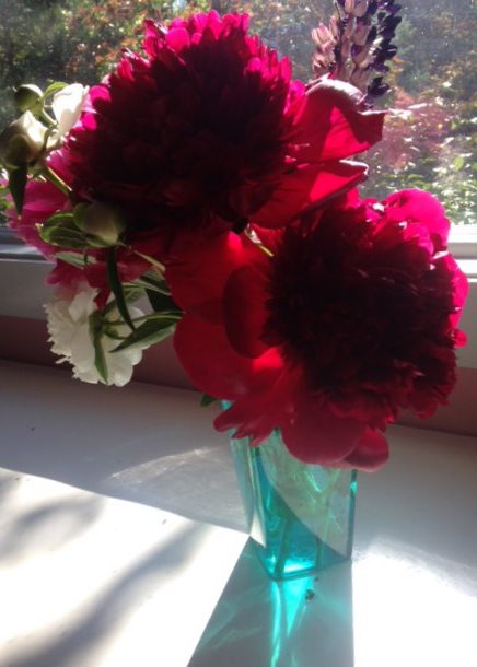 Flowers were among the much appreciated gifts of kindness I recently received.